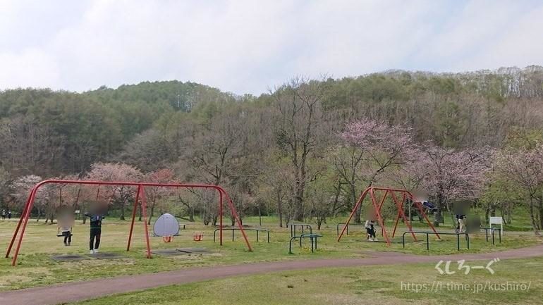 釧路町にある別保公園のブランコ