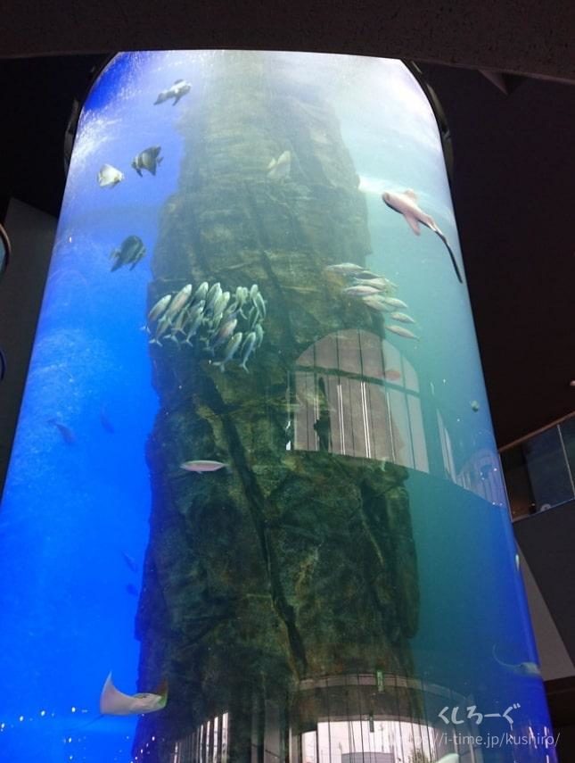 くしろ水族館「ぷくぷく」＆釧路「釧之助」本店の入り口にある巨大水槽