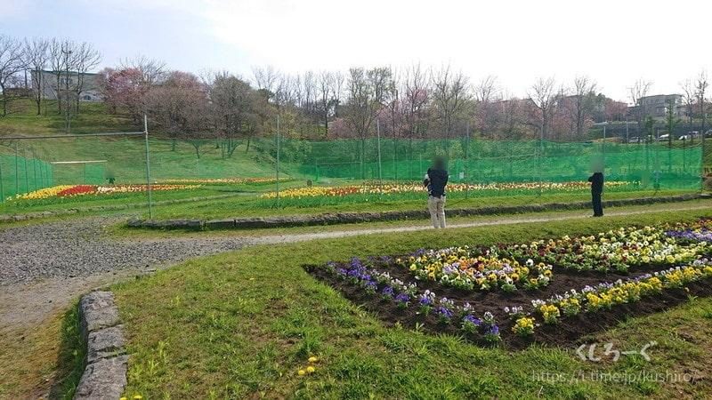釧路市の鶴ケ岱公園(つるがだい公園)　公園内に咲いていた花
